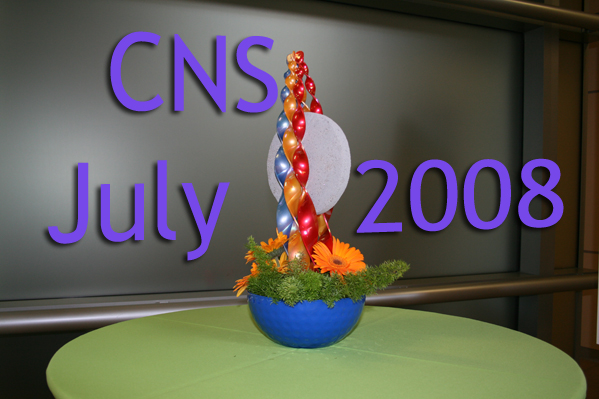 CNS RR 2008 07 13